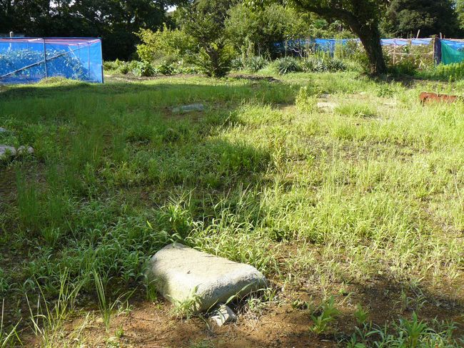 �Ό�������