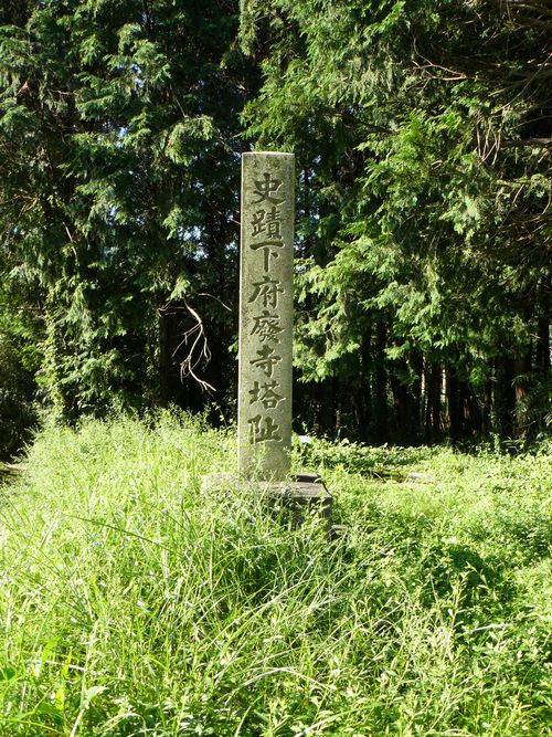 ���{�p������