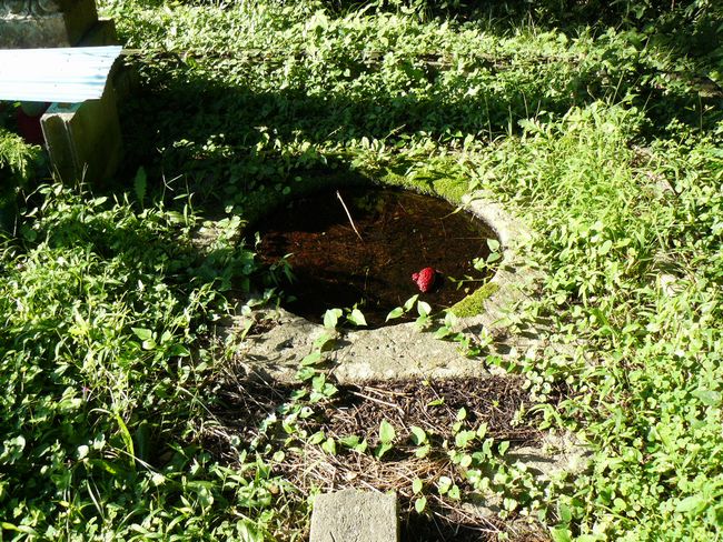 ���{�p������