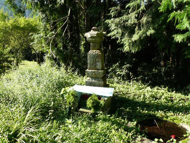 ���{�p������