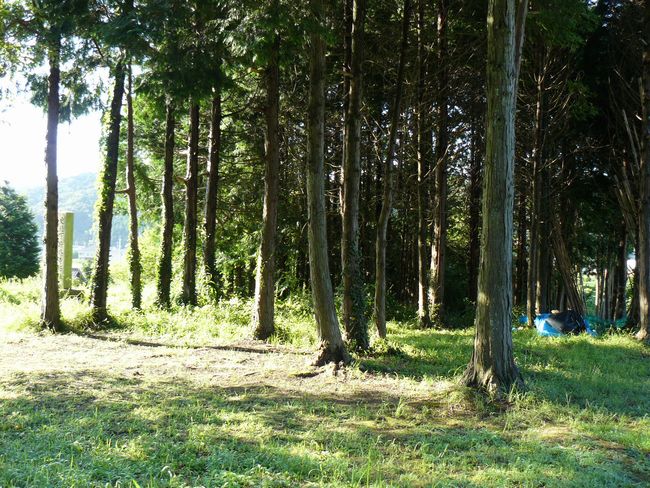 ���{�p������