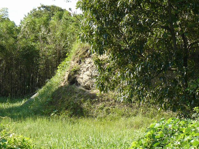 �Ό����������q��