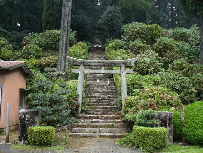 �喃�R�_��