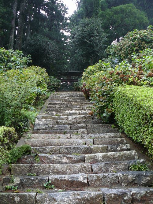 �喃�R�_��