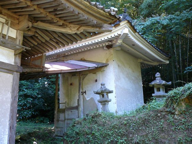 �L�h�_�ЁE�{�a