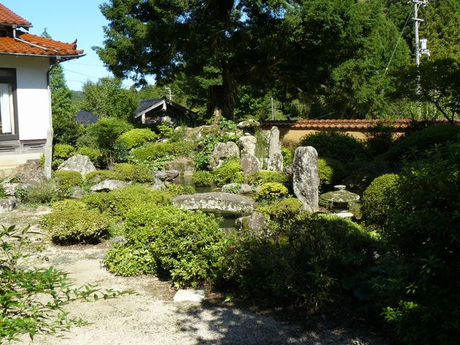 ���{���E�뉀