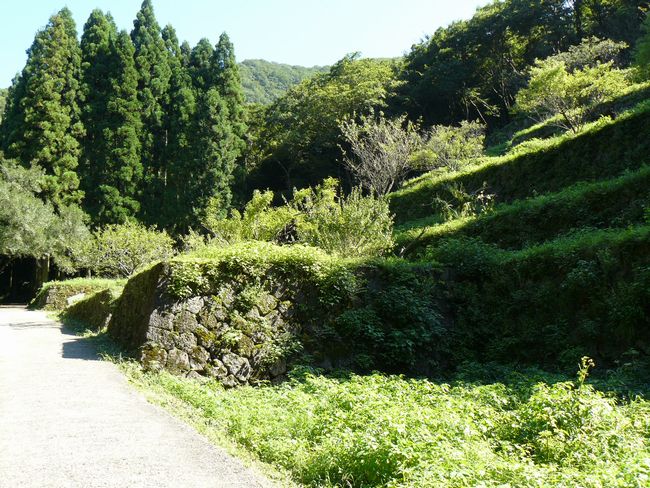 �����J���B����