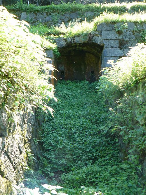 �Ό���R��� �F�����J���B����