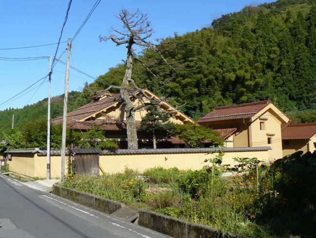 �n�ӉƏZ��E�S�i