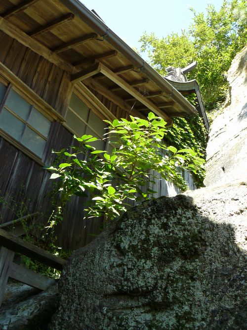 ����O�_�ЁE�{�a