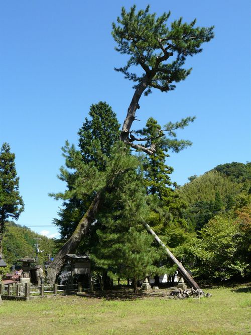 ���_�ЁE���̖�