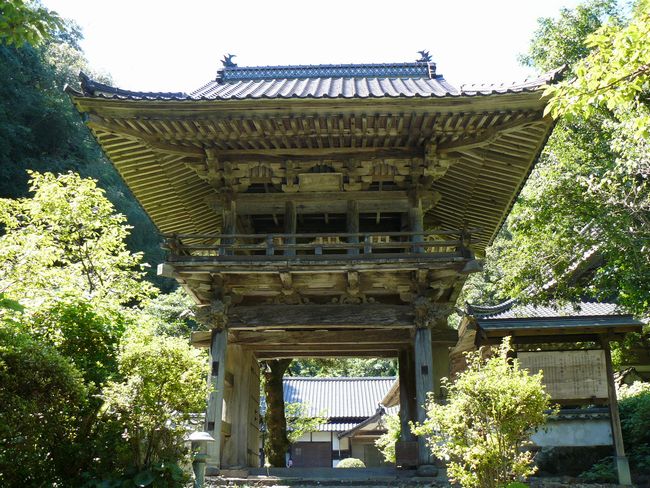 �������E�O��