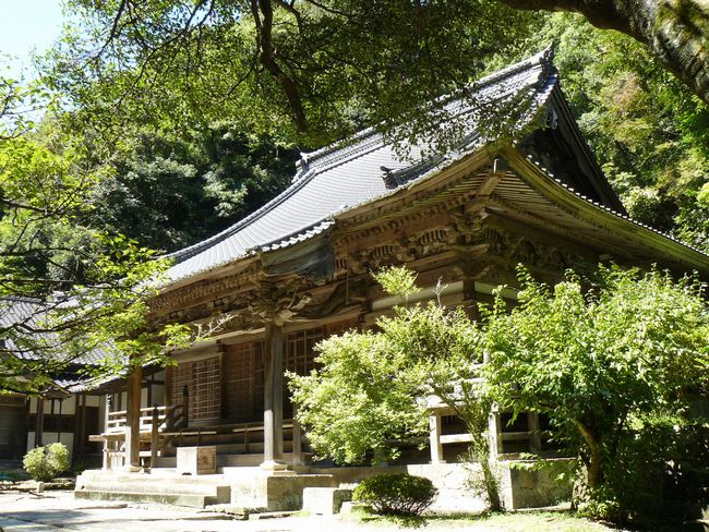 �������E�{��