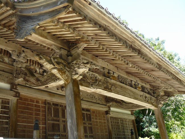 �������E���q