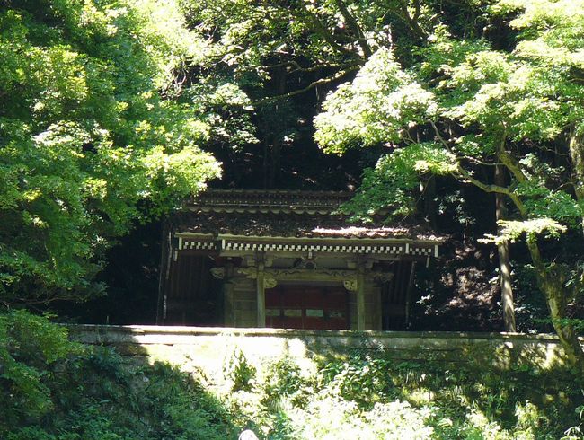 �������E���Ƌ{