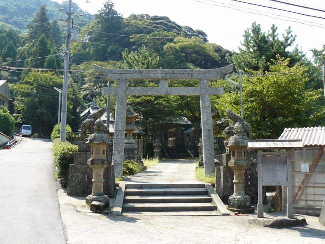 �ɓސ��g��_��