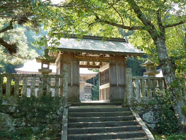 �ɓސ��g��_��