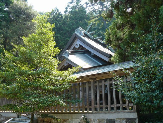 �ɓސ��g��_��