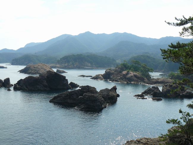 �o�_����