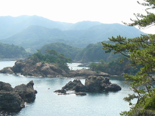 �o�_����