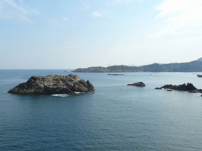 �o�_����