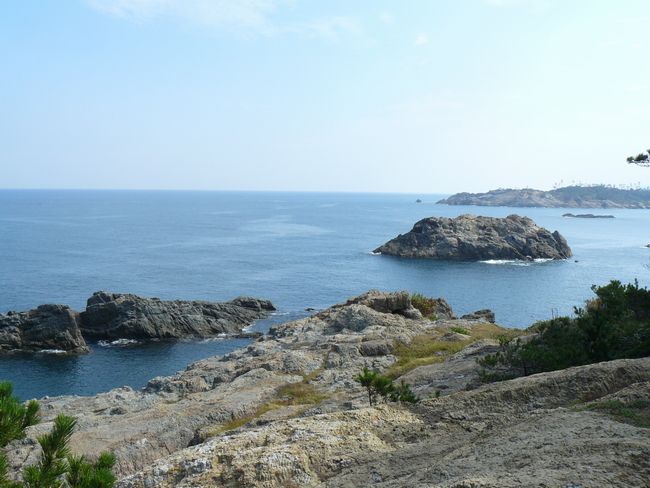 �o�_����