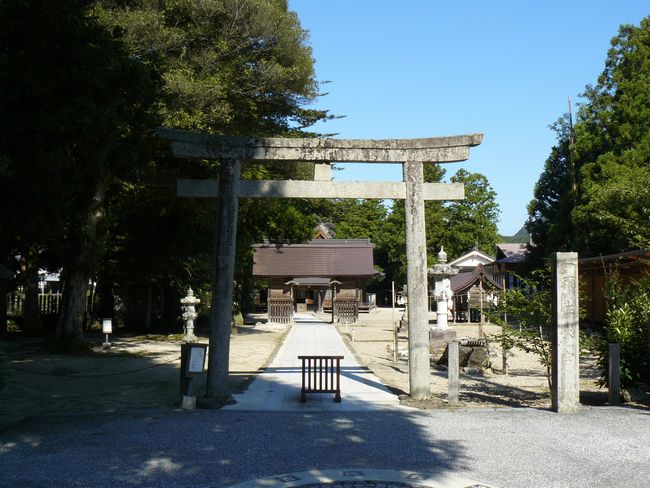 �{���_��