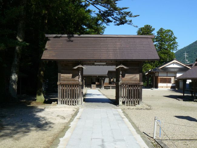 �{���_��