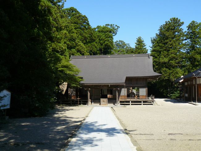 �{���_��