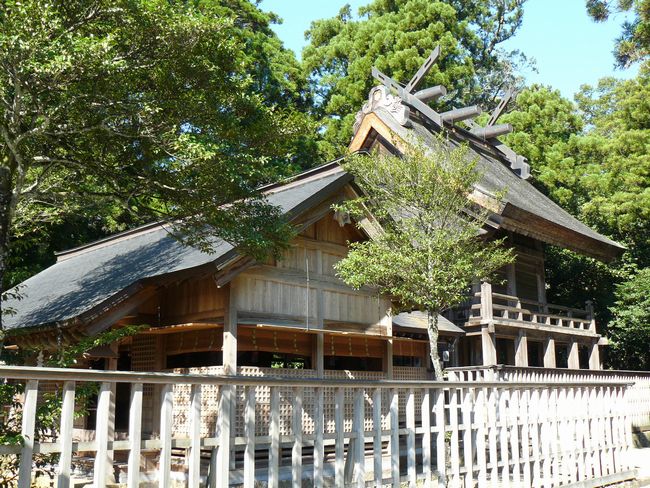 �{���_��