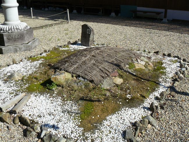 �{���_��