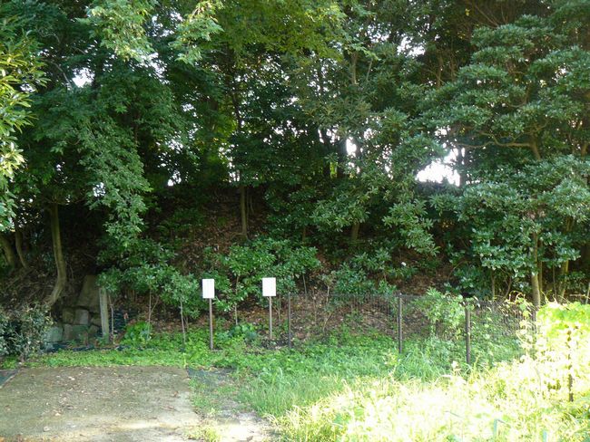 �㉖��z�R�Õ�