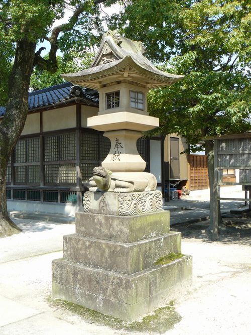 �F���_��