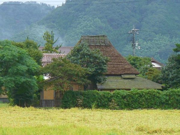 �Øa��ˁE�鉺���E��������