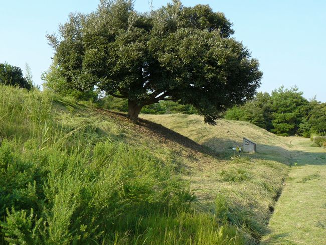 �W���J�Õ��Q