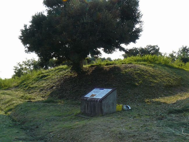 �W���J�Õ��Q