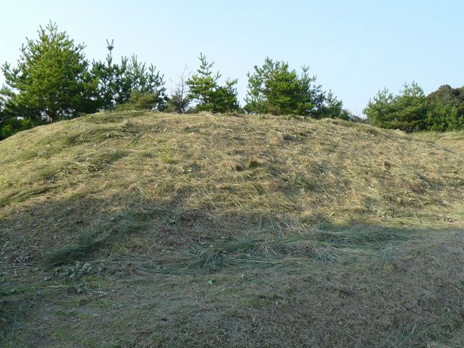 �W���J�Õ��Q