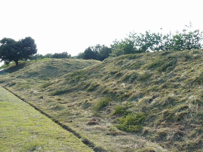 �W���J�Õ��Q