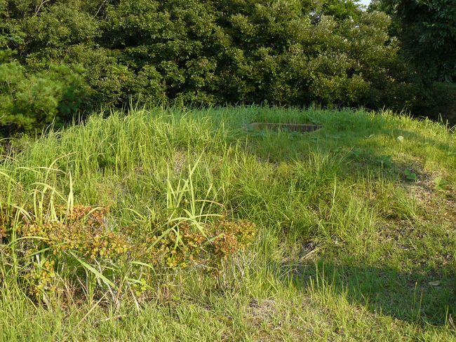 ��J�S����