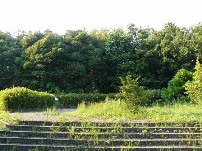 ��˂P����