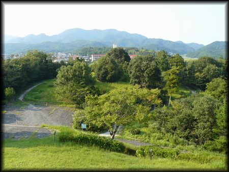 �����c���Õ��Q