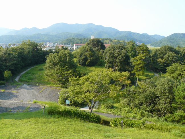 �����c���Õ��Q