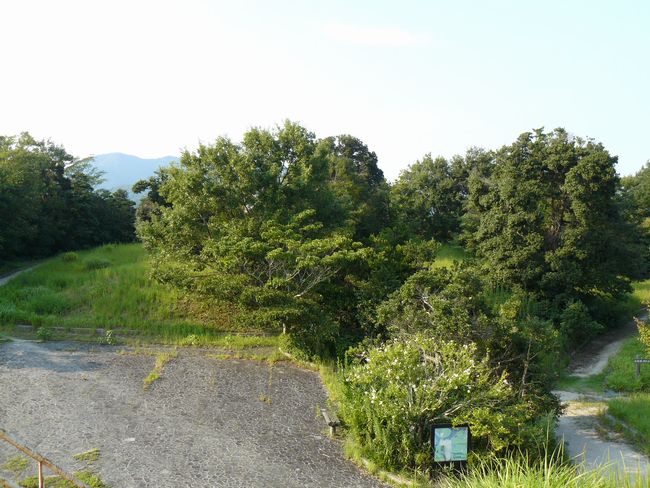 �����c���Õ��Q