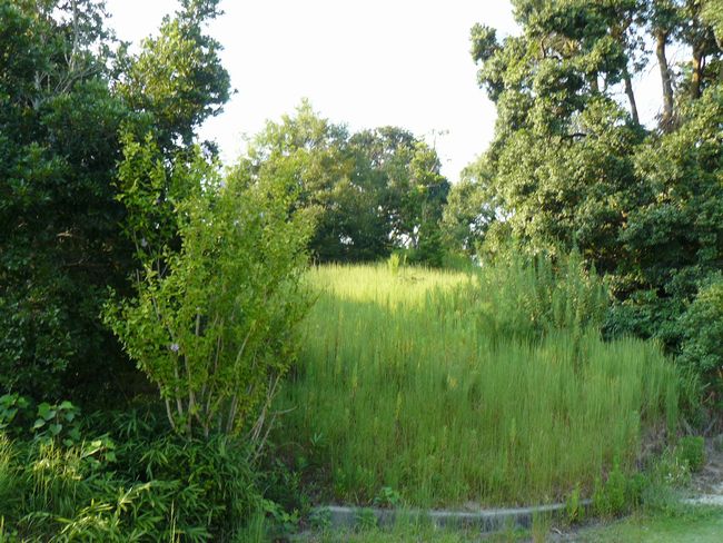 �����c���Õ��Q