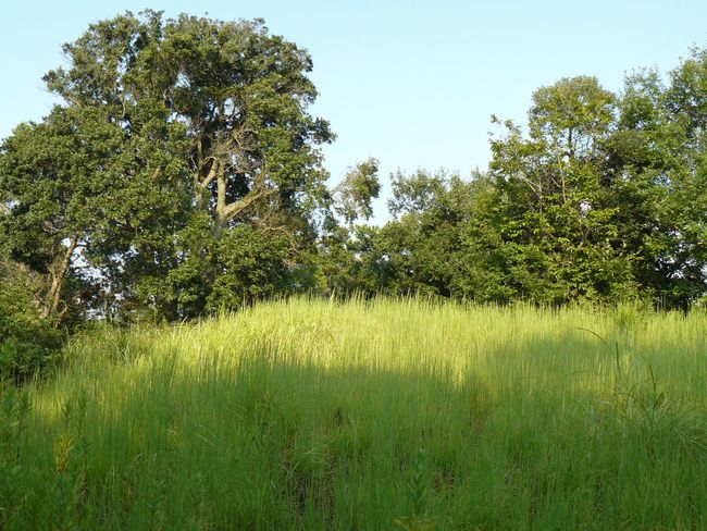 �����c���Õ��Q