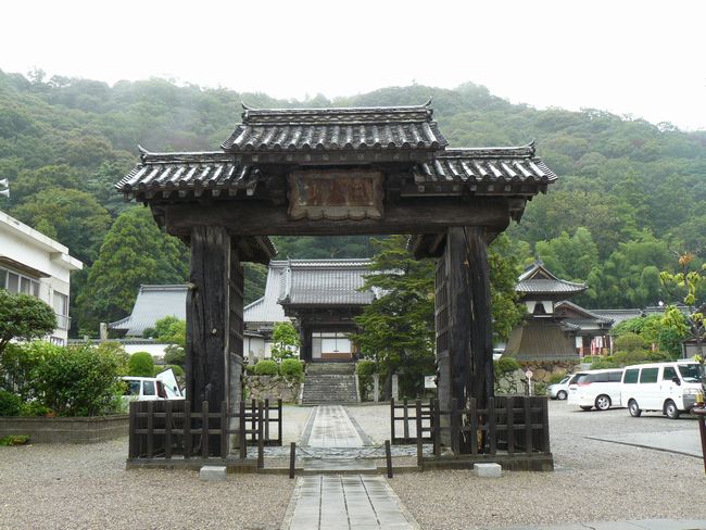 �Ό������