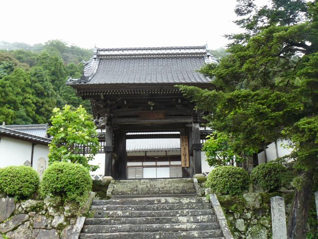 �Ό������