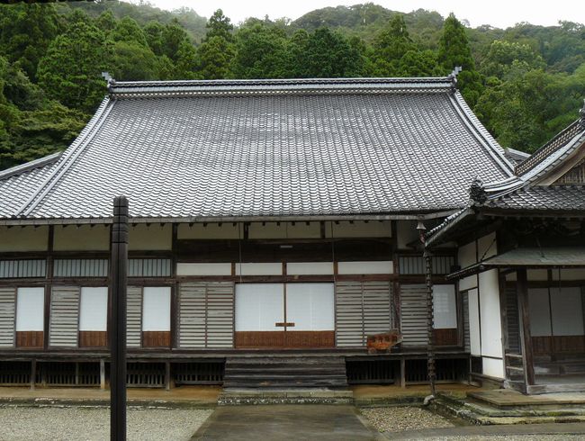 �Ό������