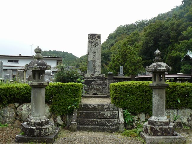 �Ό������