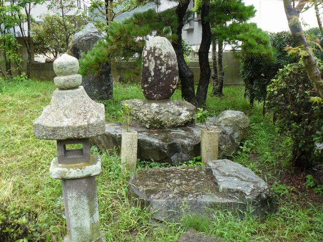 �Ό������